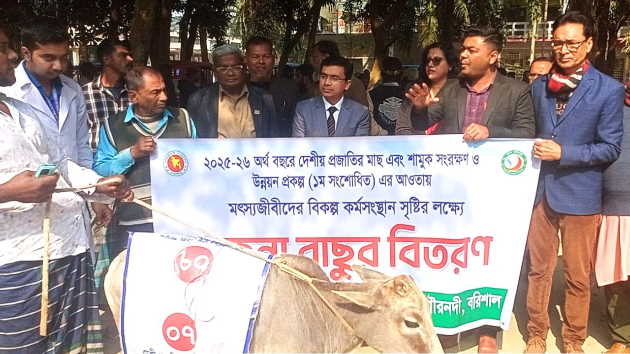 গৌরনদীতে মৎস্যজীবীদের বিকল্প কর্মসংস্থানে বকনা বাছুর বিতরণ