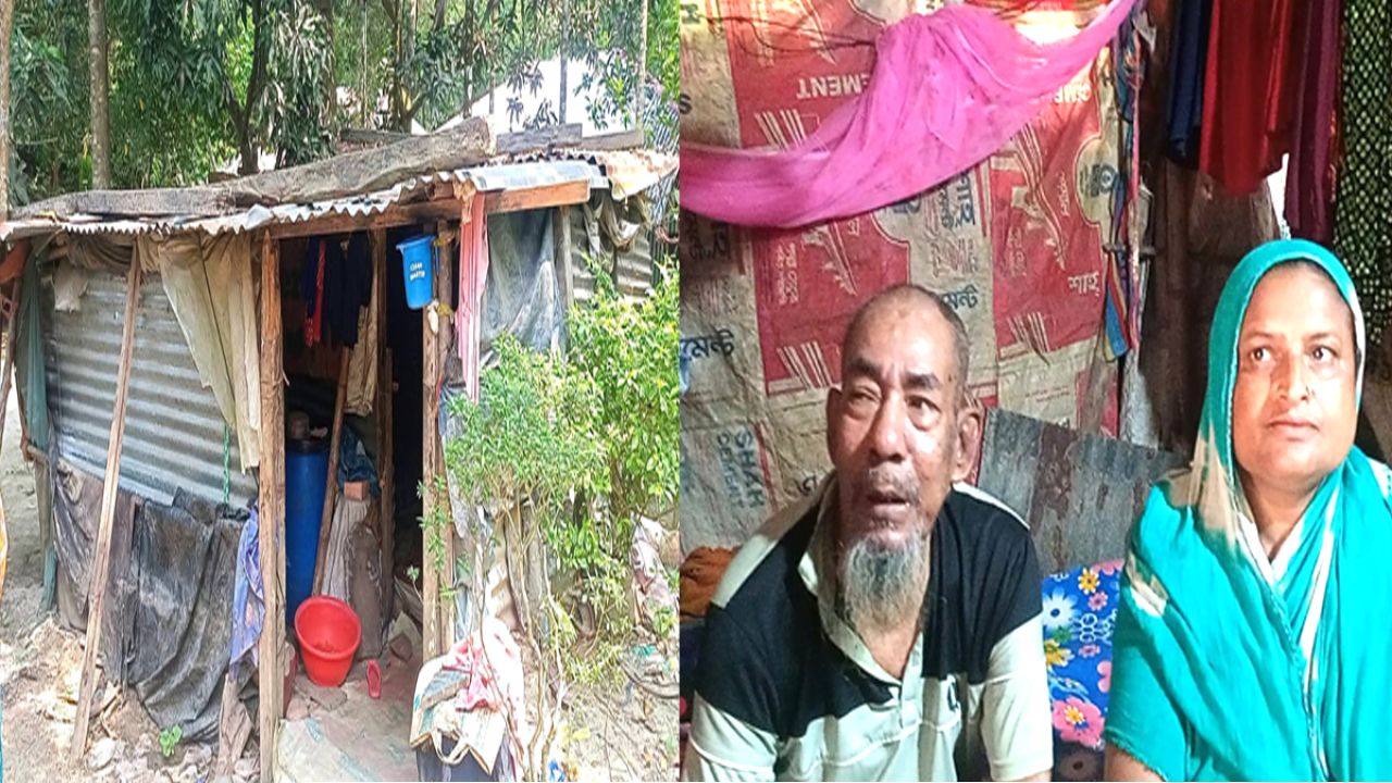 গৌরনদীতে মানবেতর জীবনযাপন অসহায় আকতার ফকিরের পাশে দাঁড়ানোর দাবি