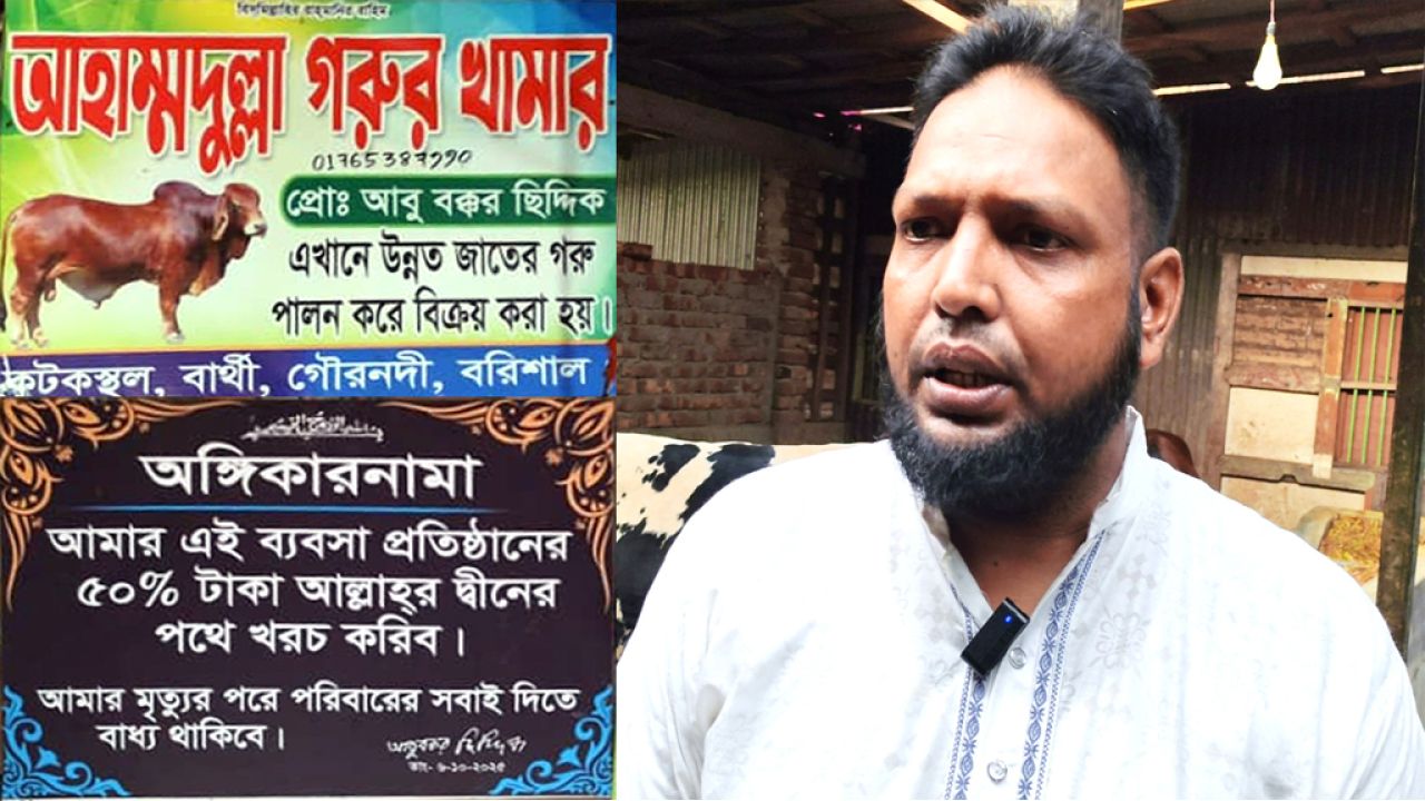 প্রবাস জীবন শেষে খামারে সফলতা, গৌরনদীর চারঘাটায় কোরবানির জন্য প্রস্তুত অর্গানিক গরু